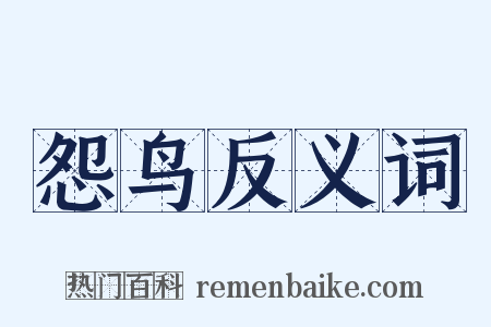 怨鸟反义词是什么意思的图片